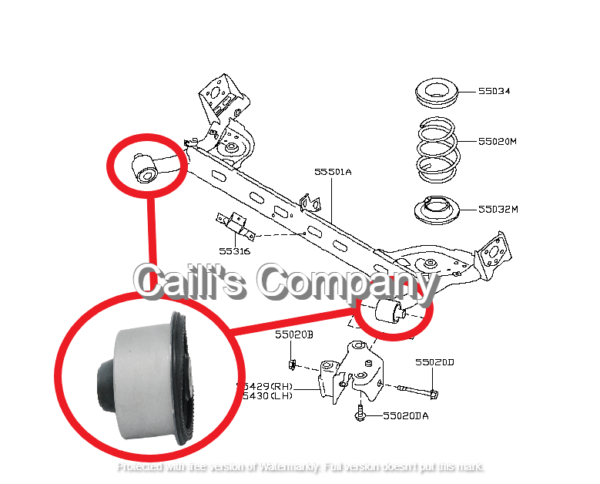 55316-AX600 (A) REAR CROSSMEMBER BUSHING - Image 3